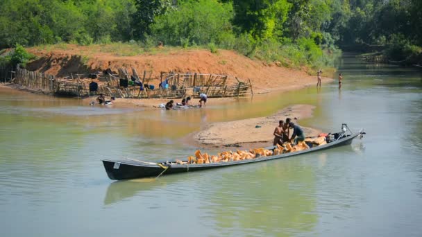 Inle lake. myanmar - ca. Jan 2014: Einheimische laden Flusssand in ein Boot — Stockvideo