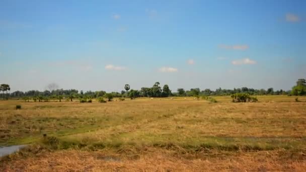 柬埔寨火车窗口的农田 — 图库视频影像