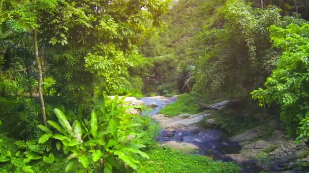 Naturlig ström från toppen av vattenfallet i Thailand — Stockvideo