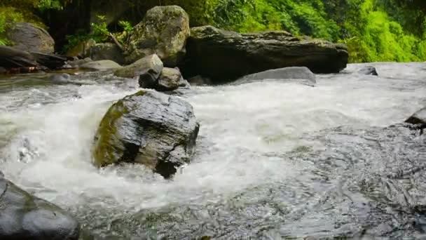 Vídeo 1920x1080 - Whitewater Churns and Tumbles em direção a uma cachoeira com som — Vídeo de Stock