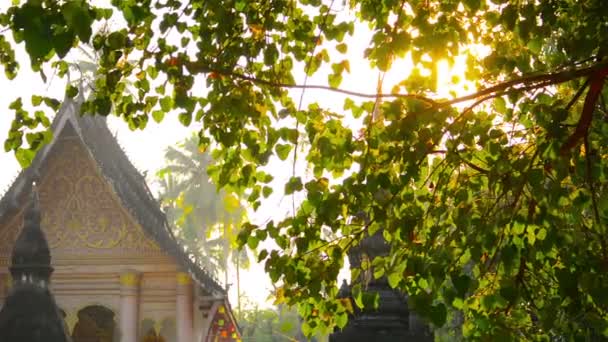 Panning Shot van boeddhistische tempel in Luang Prabang. Laos — Stockvideo