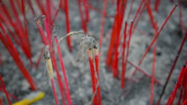 Bir Budist tapınağı Vientiane, yanan tütsü