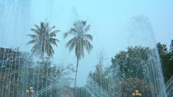 棕榈树。树木和天际线从雄伟壮观的喷泉 — 图库视频影像