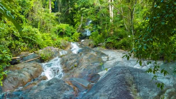 Beautiful Jungle Waterfall in Thailand. Southeast Asia — Stock Video