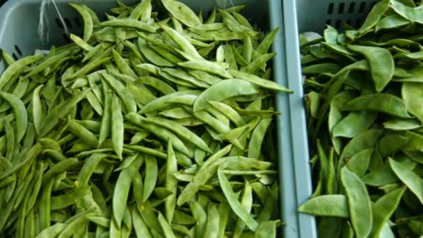 Chinese Snow Peas at Public Market in Asia — Stock Video