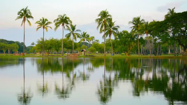 Palmeras reflejadas en un estanque en el sudeste asiático — Vídeos de Stock