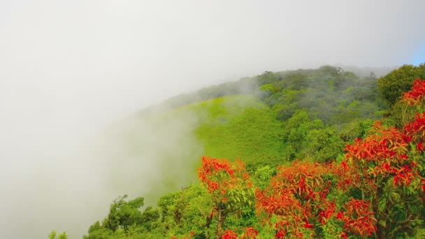 Montagne nebbiose sopra Chiang Mai. Tailandia — Video Stock