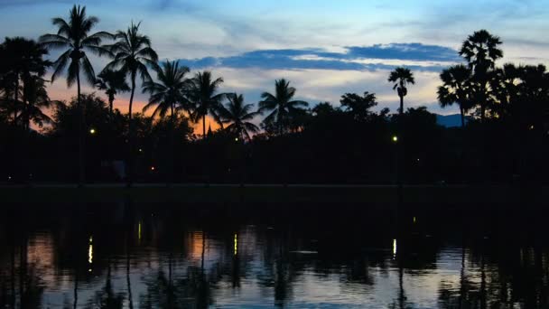 Palmiers silhouettés contre le ciel en début de soirée — Video