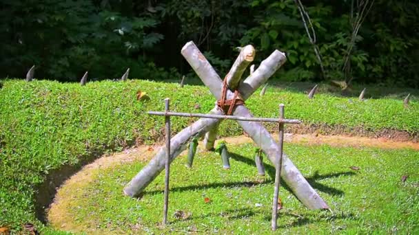 Traditional Methed for Native Production of Alcohol in Borneo — Stock Video