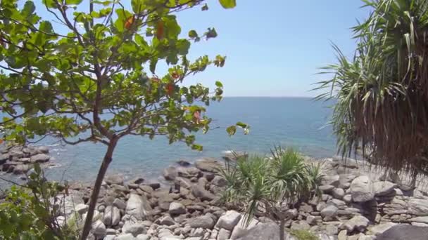 Rocky. Tropisch strand. Door de bomen bekeken — Stockvideo