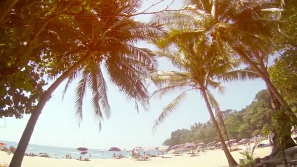 Los turistas disfrutan de rayos de oro. sol de la tarde en este complejo de playa tropical con arena blanca y palmeras . — Vídeos de Stock