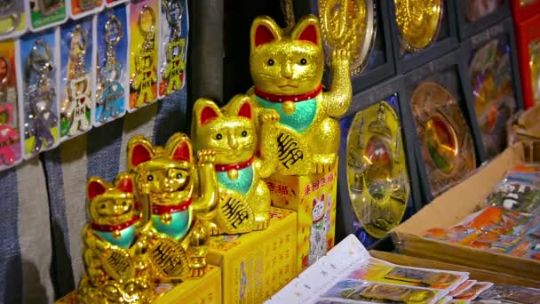 Japonés afortunado gato estatuas. con sus perpetuos brazos ondeantes. a la venta en una tienda de recuerdos. entre otros objetos de colección . — Vídeo de stock