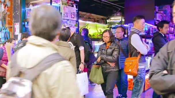 Compradores que navegam peixes tropicais e suprimentos de aquário em uma loja de animais no centro da cidade em Hong Kong . — Vídeo de Stock