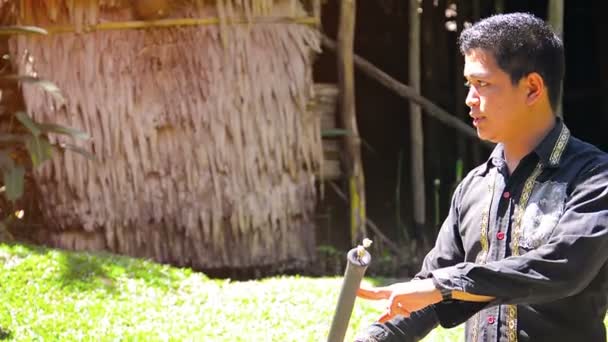 Profesyonel tur rehberi geleneksel kullanımını açıklar. yerli av aletleri. blowgun gibi. bir grup turiste. — Stok video