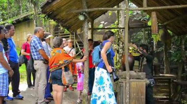 Geleneksel hakkında açıklayan profesyonel tur rehberi. yerli pirinç şarabı üretim kültürel bir gösteri bir parçası olarak.