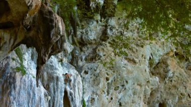 Cesur Turist Bir Sheer Kireçtaşı Uçurum Tırmanma