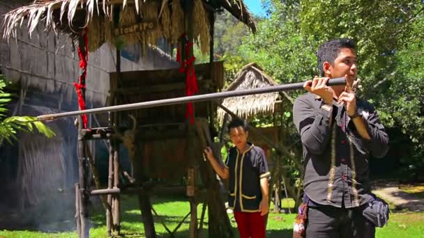 Professional tour guide demonstrates and explains the use of a traditional. native blowgun to a group of tourists. — Stock Video