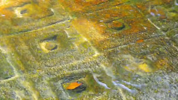 Antik semboller alt kısmında kaya yüzeyine oyulmuş. Kamboçya. Phnom Kulen Linga Nehri — Stok video