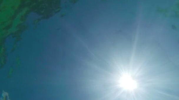 Vista submersa do sol brilhando na água — Vídeo de Stock