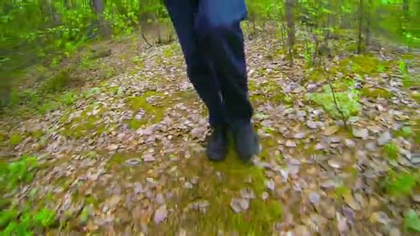 Człowiek chodzi w jesiennym lesie. Nogi z bliska — Wideo stockowe