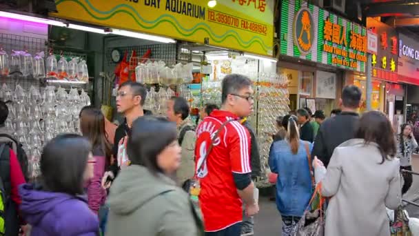 Shoppers in een druk winkelcentrum in Hong Kong. Stop om live te browsen. tropische vissen in doorzichtige plastic zakken. opgehangen op metalen rekken buiten een aquarium winkel. — Stockvideo