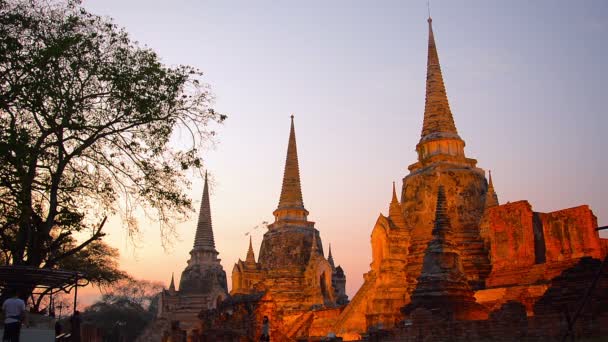 Fila de estupas. iluminado em tons de vermelho do pôr do sol no Parque Histórico Ayutthaya na Tailândia . — Vídeo de Stock