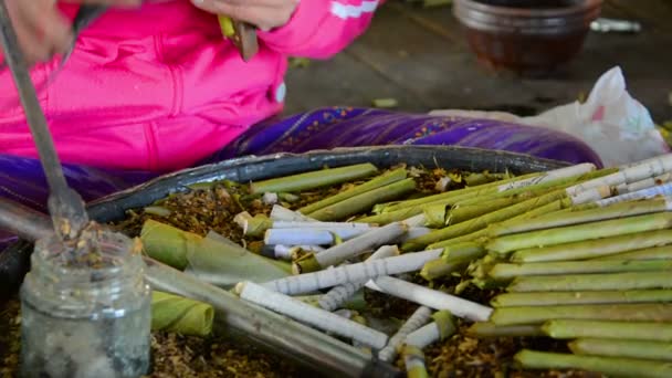 Fabricação artesanal de charutos — Vídeo de Stock