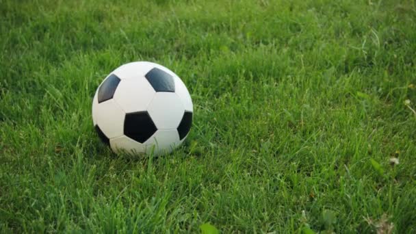 Pelota de fútbol en el campo con césped natural — Vídeo de stock