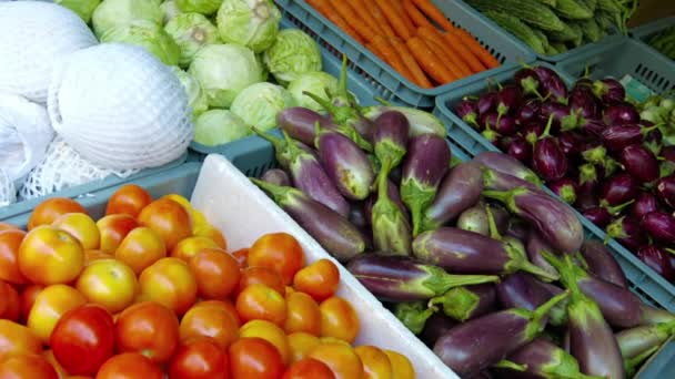 Verduras recién cosechadas exhibidas en un mercado público — Vídeo de stock