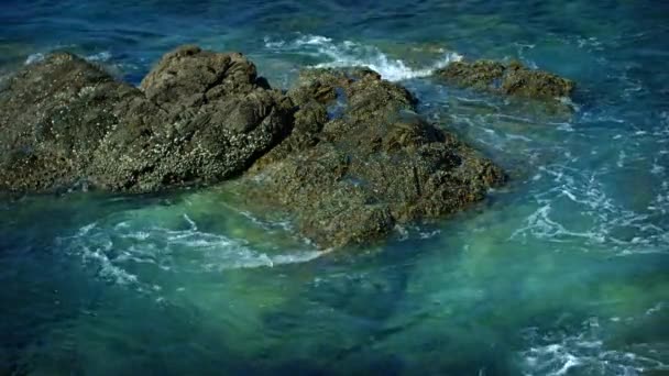 Rochers sur la côte de la mer tropicale — Video