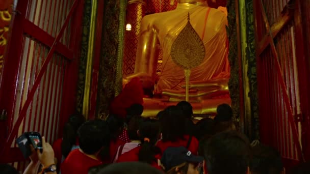 АЮТТАЯ. THAILAND - CIRCA FEB 2015: Tourrists Press in to See Enormous. Позолоченная статуя Будды в Ват Фанан Ченг в историческом парке Аюттхая в Таиланде . — стоковое видео