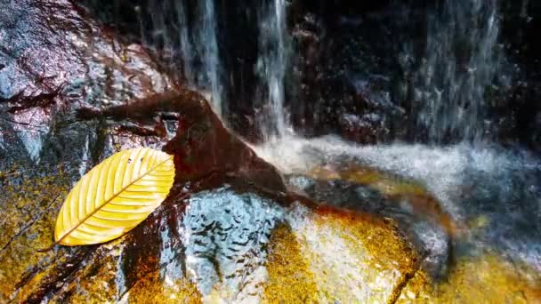 Primer plano de la cascada suave con sonido — Vídeo de stock