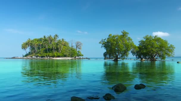 Pequeño. Isla tropical en el sur de Tailandia con árboles de manglar . — Vídeo de stock