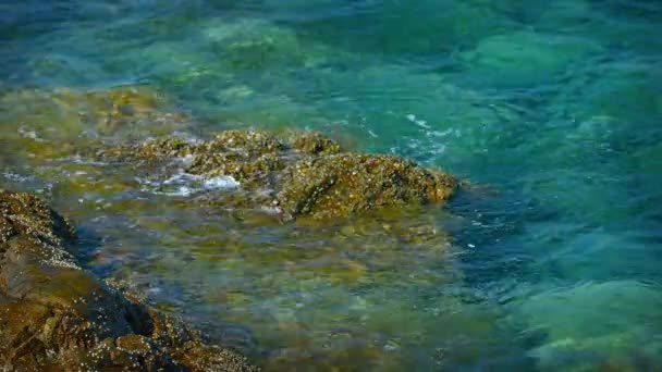 Tropiska havet vatten läppning försiktigt på en Barnacle-täckt sten i Thailand — Stockvideo