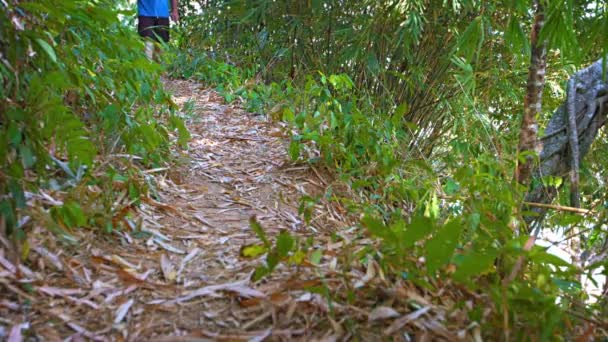 Senderismo turístico por un sendero natural en la isla de Phuket en Tailandia — Vídeos de Stock