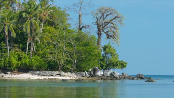 Terk edilmiş. Rocky. Doğal. Doğal ağaçlar ve bitki örtüsü ile tropikal plaj — Stok video
