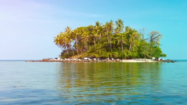 Bonita isla tropical con palmeras y una playa rocosa — Vídeos de Stock
