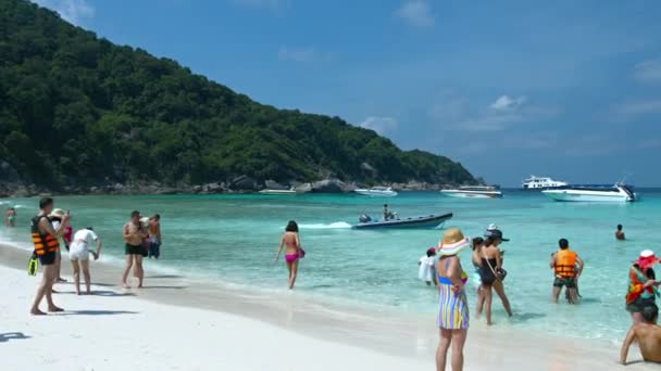 Touristes bénéficiant d'une plage tropicale dans les îles Similan protégées de Thaïlande — Video