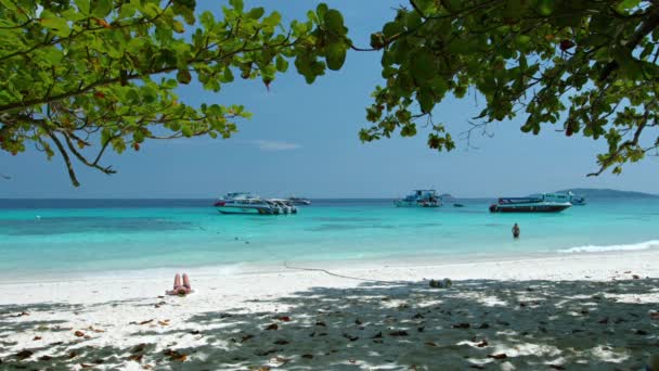 Туристи, гріючись на сонці, як ласкавих хвиль мити на красиві. Готель Tropical Beach на острові Сіміланскіе. одне з Таїланду в захищено Сіміланскіе острови. — стокове відео