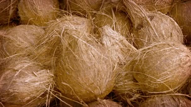 Зрелый. Сухие кокосы на рынке — стоковое видео