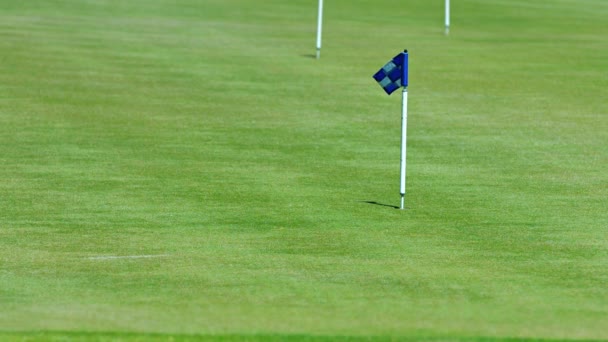 Bandeira azul xadrez marca o buraco em um campo de golfe — Vídeo de Stock