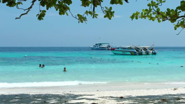 Touristen genießen einen Nachmittag im Warmen. tropische Gewässer des Nationalparks Similan Islands in Thailand — Stockvideo