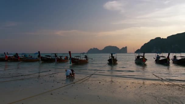 Motorized wooden canoes. lined up along a sandy beach at Sunset on Phi Phi Island in Thailand. Southeast Asia. — Stock Video