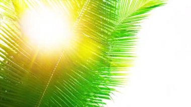 Altın palmiye yaprağı ile parlayan güneş