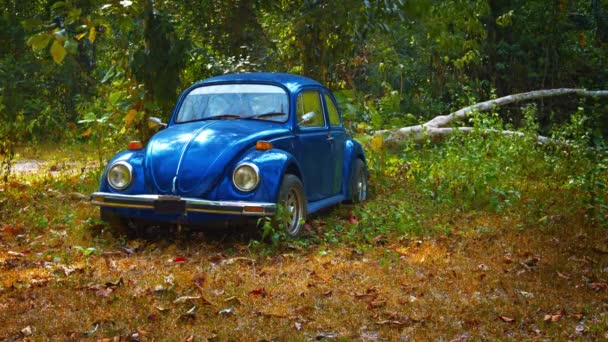 Vieille voiture de scarabée abandonnée dans les bois — Video