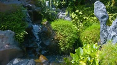 Bir kamu bahçe dekoratif şelale