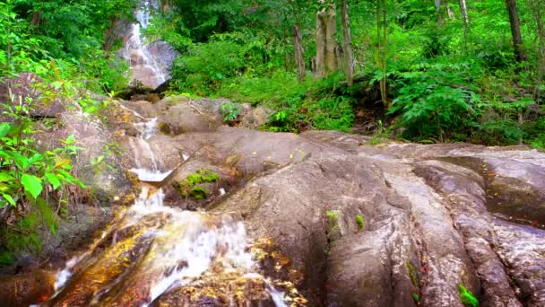 Agua cayendo por una cascada natural en la selva — Vídeo de stock