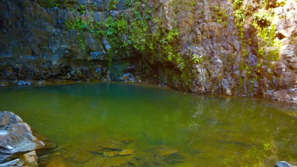 Piscine paisible dans une nature tropicale sauvage — Video