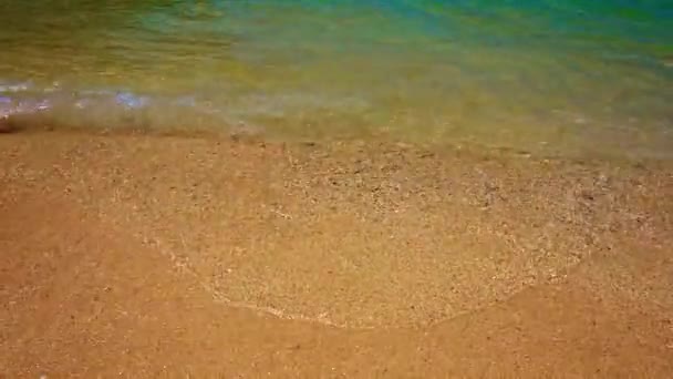 Gentle Ocean Waves Washing over a Tropical Beach — Stock Video