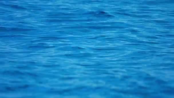 Calma y suaves olas en la superficie del océano — Vídeo de stock